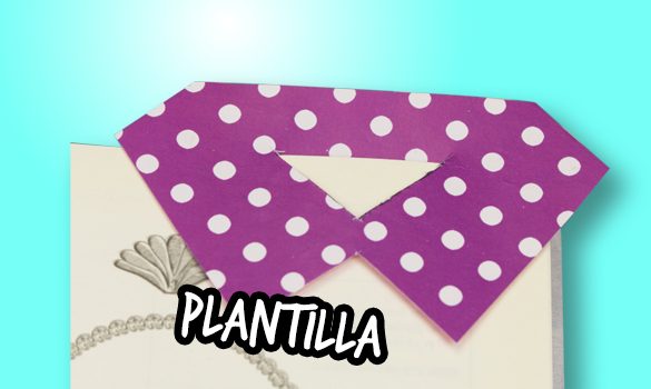 Medidas para Separador de Moñito